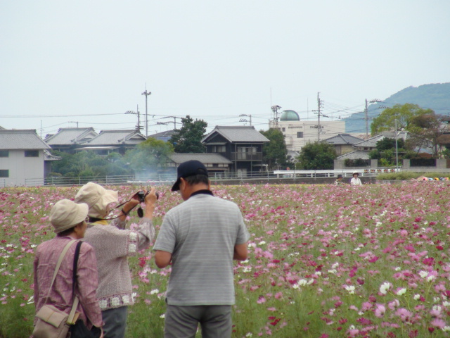 f0231709_0562263.jpg