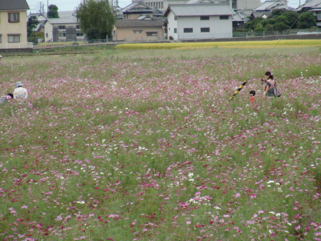f0231709_172432.jpg