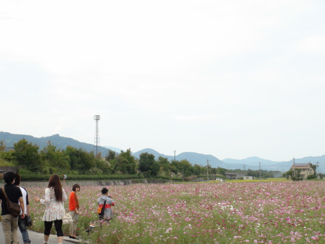 f0231709_18122.jpg