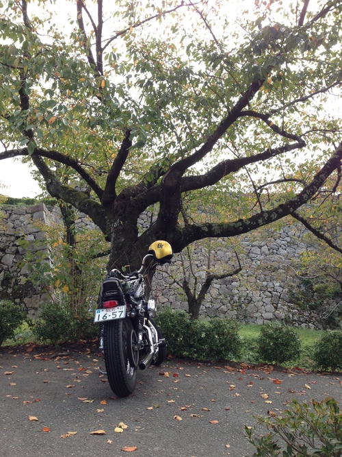 久しぶりのぶらりツー_f0213410_13465452.jpg