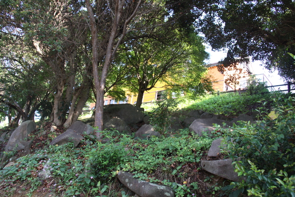 a0281511_920378.jpg