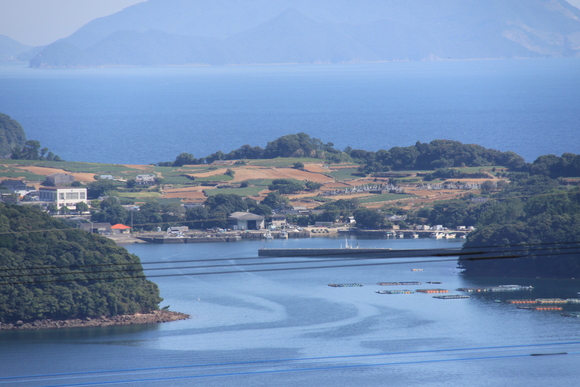 a0281511_941815.jpg