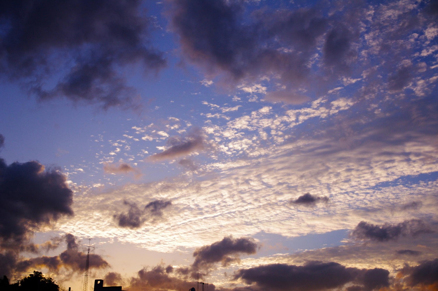 今日一日の空_e0142611_21391832.jpg