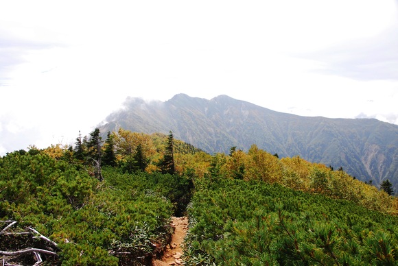 b0223512_2285630.jpg
