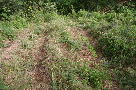 a0216817_2050585.jpg
