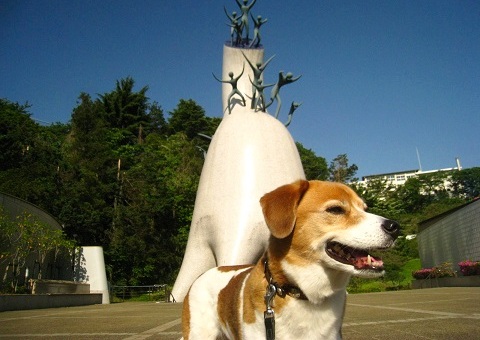 c0084117_2002234.jpg