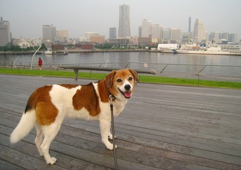 c0084117_201075.jpg