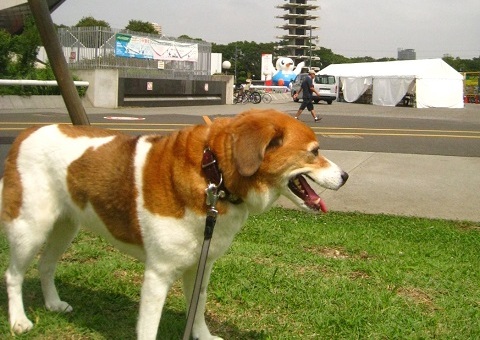 c0084117_2011031.jpg