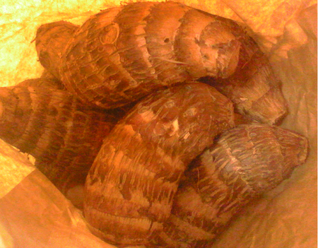 c0097620_19445143.png