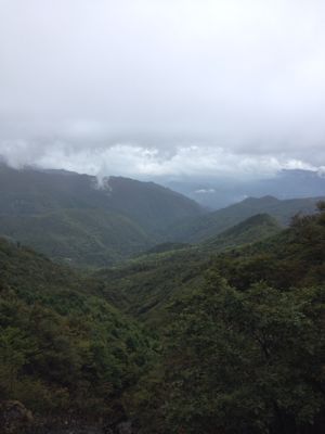f0198620_20561143.jpg