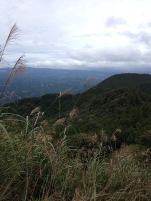 f0198620_2056138.jpg