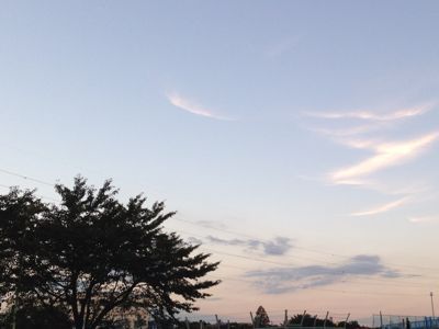 b0203925_20384147.jpg
