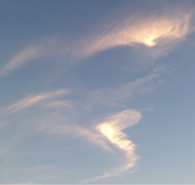 b0203925_20384261.jpg
