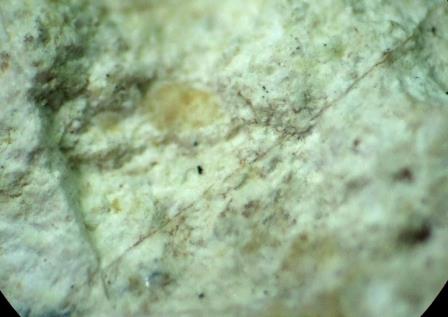 d0045626_21483054.jpg
