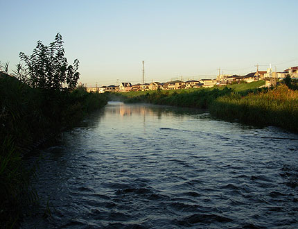 b0174137_2140327.jpg