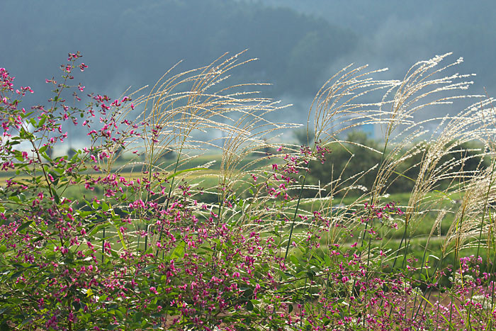 c0067040_2223526.jpg