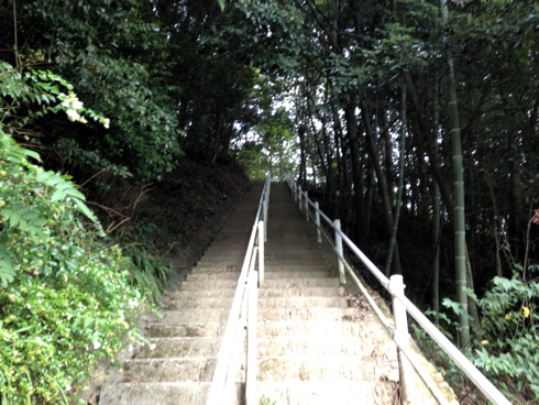 （丹波名所）黒井城 / Kuroi Castle_f0111040_701569.jpg