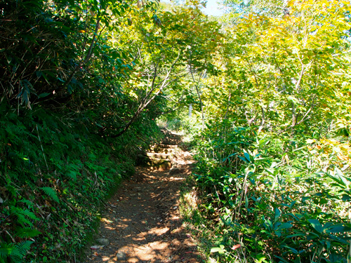 f0209740_10465125.jpg
