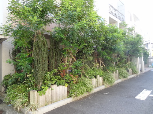ご近所散歩-内と外の境界_e0264942_1421467.jpg
