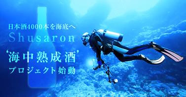 一緒にプロジェクトに参加しませんか!?_b0308353_15331861.jpg