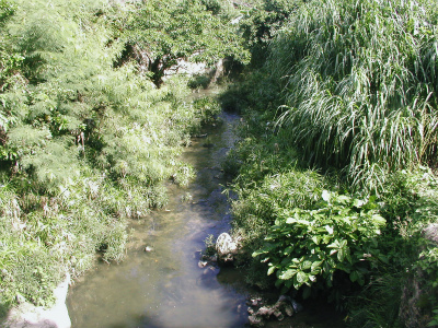 c0180460_331331.jpg