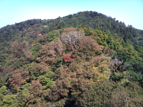 e0177961_19334023.jpg