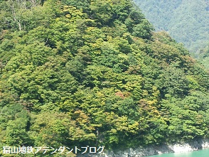 トロッコ電車に乗ってきました!_a0243562_1616030.jpg