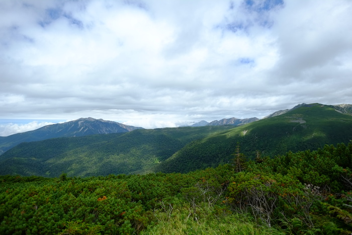 d0249375_13149.jpg