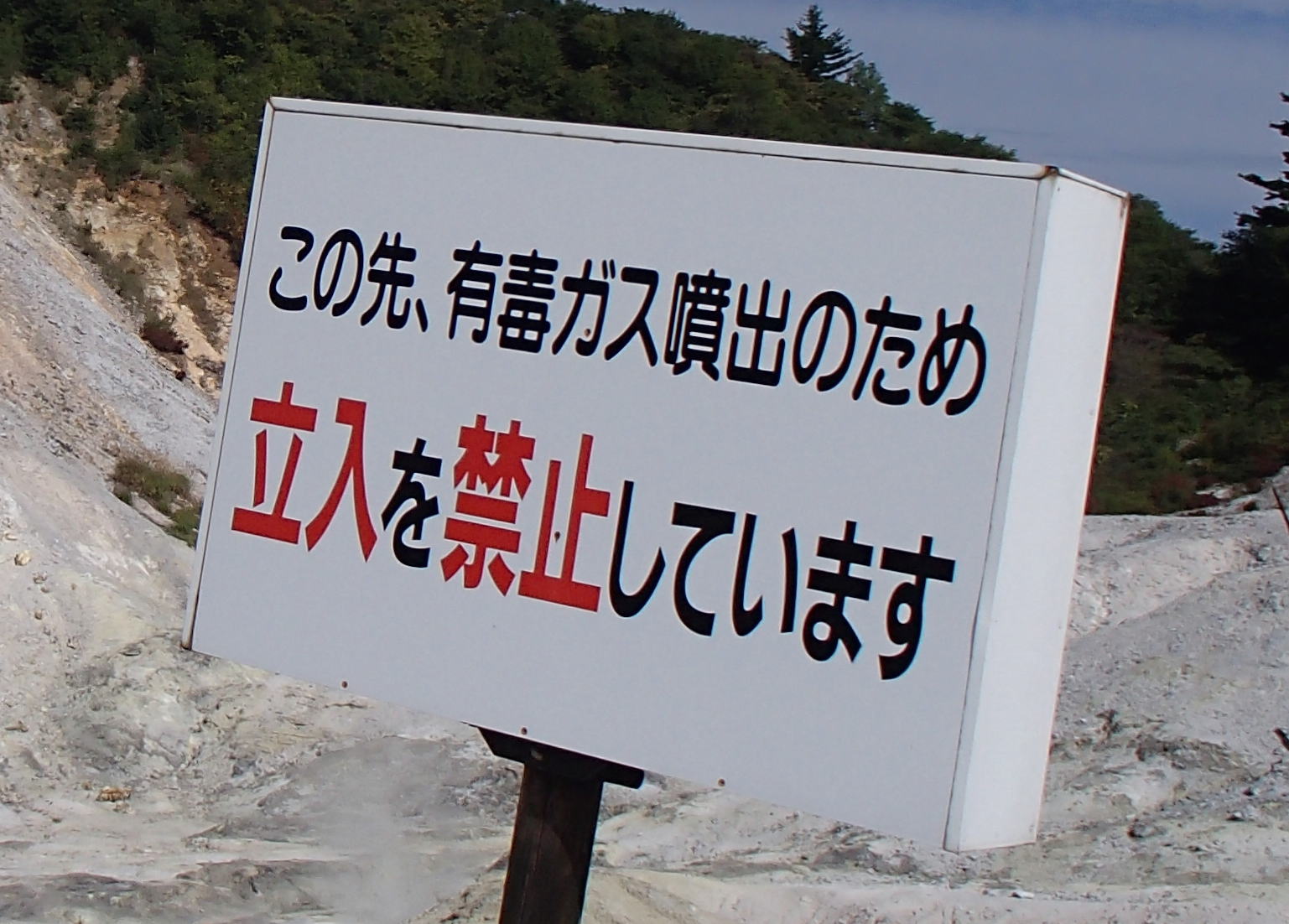 d0042380_13255116.jpg