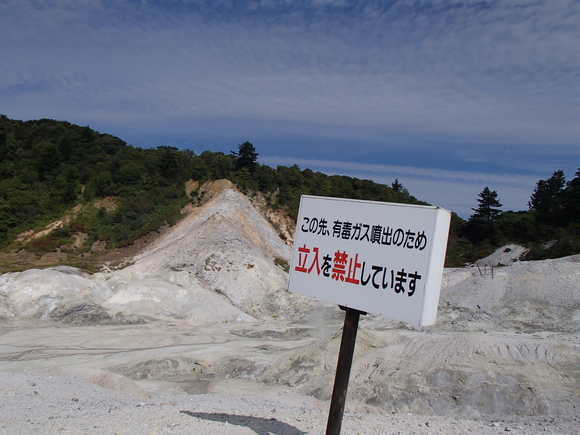 d0042380_1344294.jpg