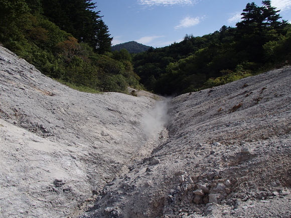 d0042380_1346056.jpg