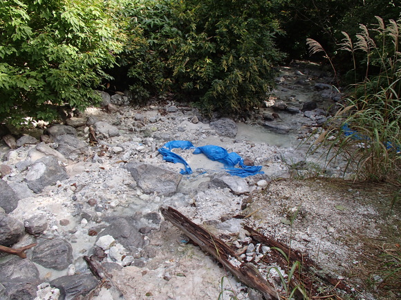 d0042380_1352759.jpg
