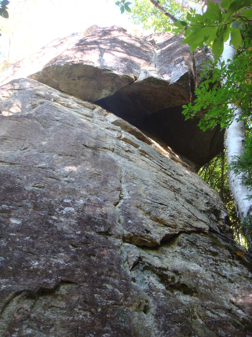 f0223480_21394616.jpg