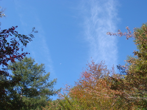 f0223480_217415.jpg