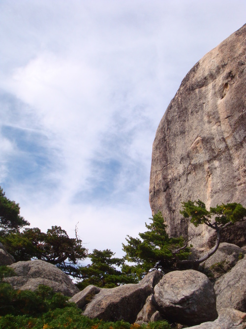 小川山　屋根岩5峰_f0223480_218744.jpg