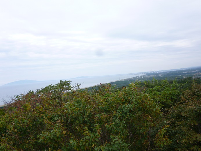 d0129083_14125868.jpg
