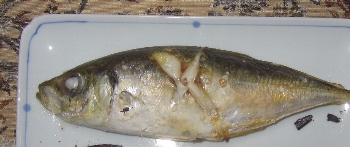f0003283_6573025.jpg