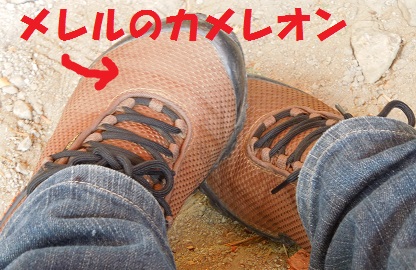 白州町H林さん邸の現場より 14_a0211886_2323322.jpg