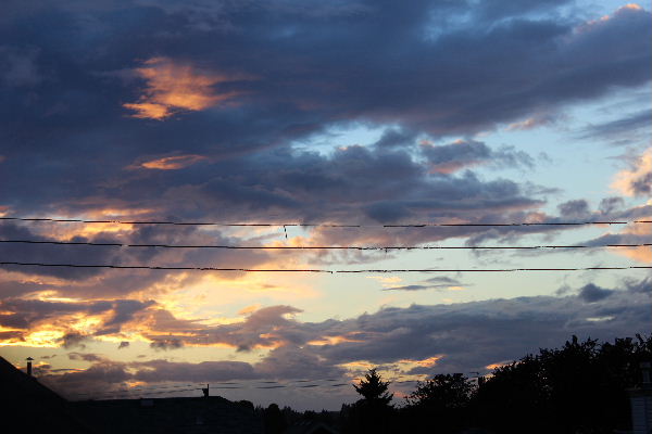 e0170687_1357380.jpg