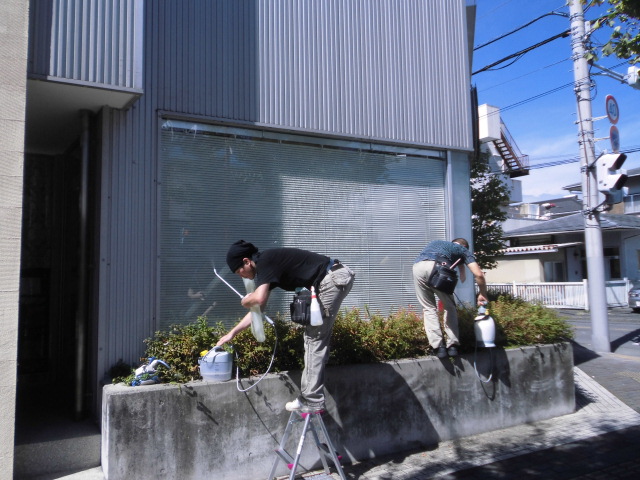 f0176387_2133417.jpg