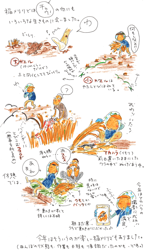 f0236291_23544487.gif