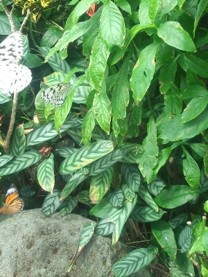 a0221700_2334975.jpg