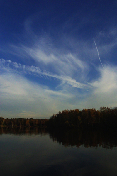 b0303200_25977.jpg