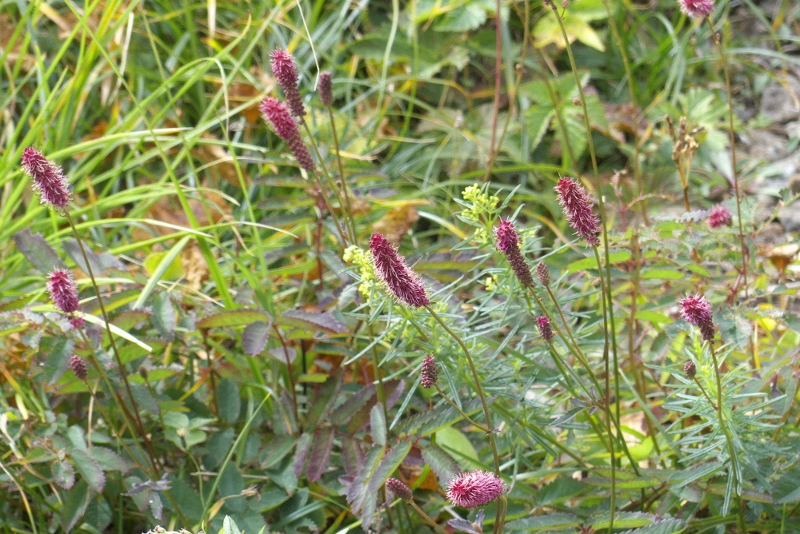 e0257101_2103034.jpg