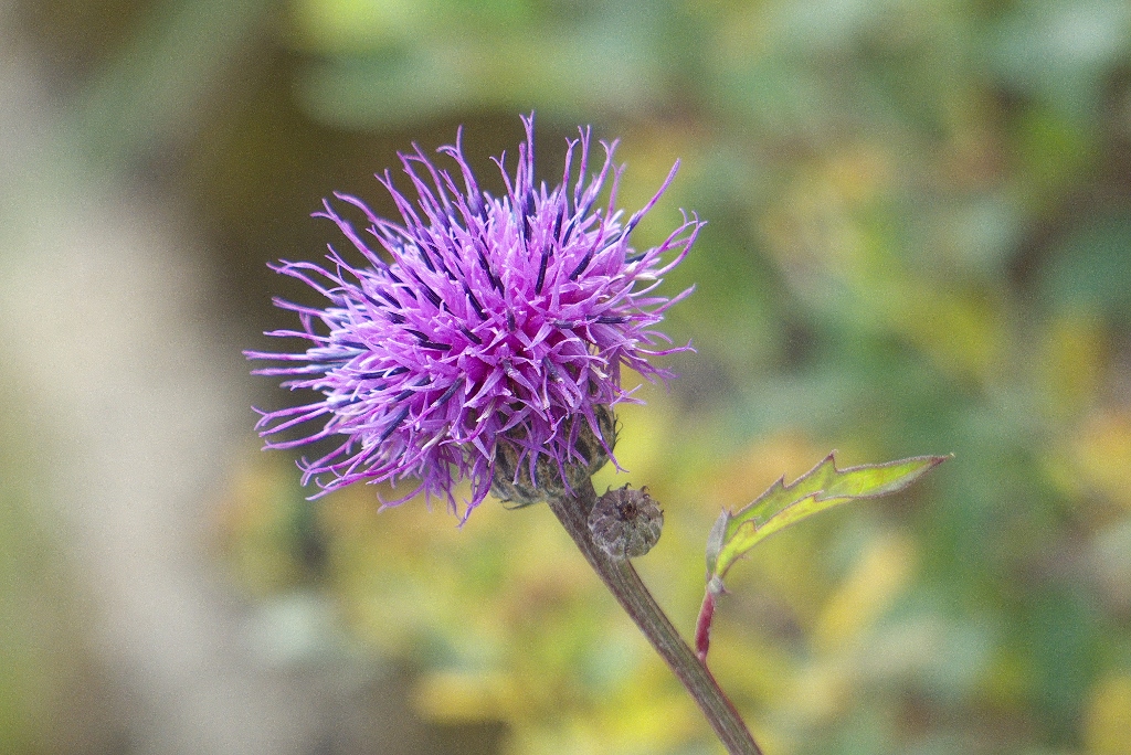 e0257101_214159.jpg