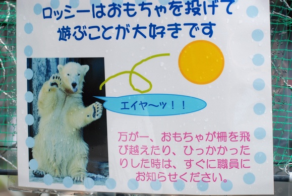 ロッシー ｜ 日本平動物園_e0319302_17314375.jpg