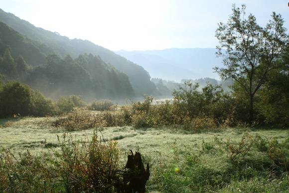 f0034602_15492532.jpg