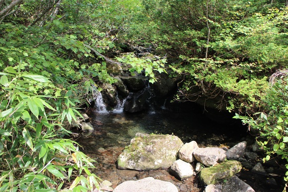 f0034602_15581886.jpg