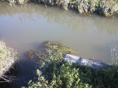 f0082402_21561566.jpg
