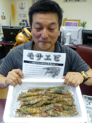 島根のおっちゃんからモサエビ Take Blog